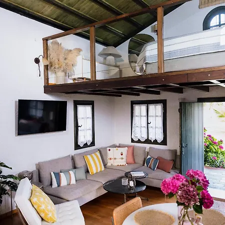 Dom wakacyjny Ktima Zotos Luxury Exotic 2 Agria