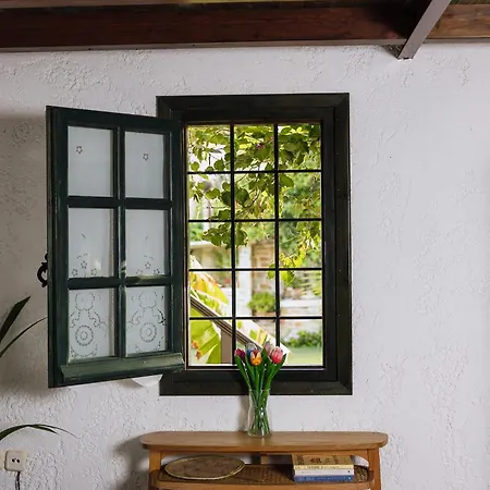 Ktima Zotos Luxury Exotic 2 * Agria