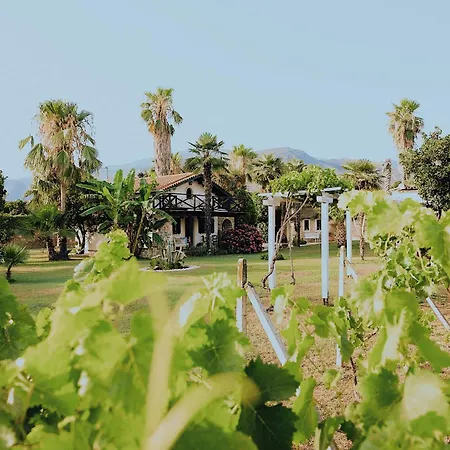 Ktima Zotos Luxury Exotic 2 Ferienhaus Agria