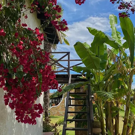 بيت للعطل Ktima Zotos Luxury Exotic 2 أغريا