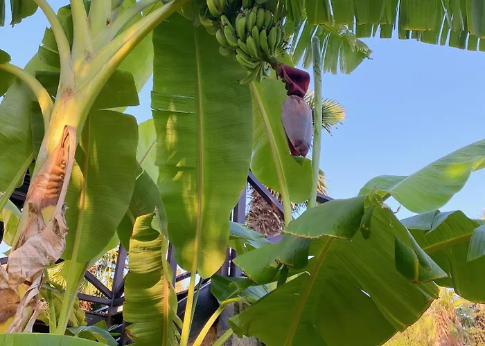 Ktima Zotos Luxury Exotic 2 * Agriá